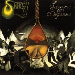 Shaggy – Lessons For Beginners - LP Vinyl Album - 