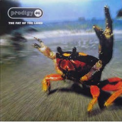 Prodigy ‎– The Fat Of The Land - Double LP Vinyl Album - Electronic Breakbeat