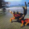 Prodigy ‎– The Fat Of The Land - Double LP Vinyl Album - Electronic Breakbeat