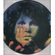 The Doors ‎– Light My Fire - LP Vinyl Album - Picture Disc Edition - 10 inches 25cm - Classic Rock 70's