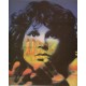 The Doors ‎– Light My Fire - LP Vinyl Album - Picture Disc Edition - 10 inches 25cm - Classic Rock 70's