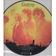 The Doors ‎– Light My Fire - LP Vinyl Album - Picture Disc Edition - 10 inches 25cm - Classic Rock 70's