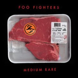 Foo Fighters ‎– Medium Rare - LP Vinyl Album Coloured - Rock Music