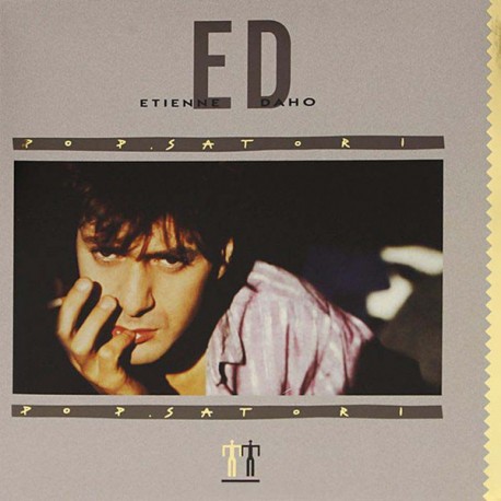 Etienne Daho ‎– Pop Satori - LP Vinyl Album - French Synth Pop Music