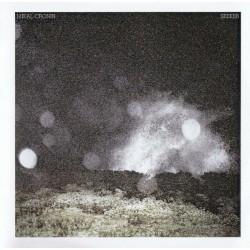 Mikal Cronin ‎– Seeker - CDr Album Promo - Rock Music