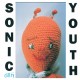 Sonic Youth ‎- Dirty - CD Album - Alternative Rock