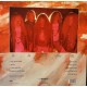Cannibal Corpse ‎– Butchered At Birth - LP Vinyl Album - Death Metal