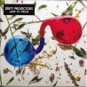 Dirty Projectors ‎– Lamp Lit Prose - CD Album Promo - Indie Rock