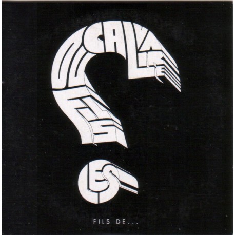 Les Fils Du Calvaire ‎– Fils De ... - CDr Album Cardboard - Promo - Electro Pop