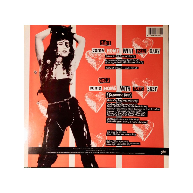 Vinyl Dead Or Alive Come Home With Me Baby maxi 12 inches USA Dance