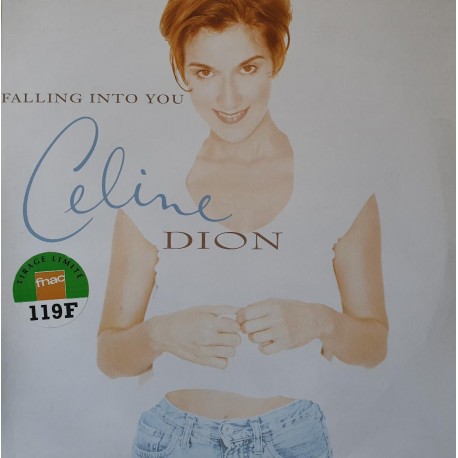 Celine Dion ‎- Falling Into You - Double LP Vinyl Album - French Pop Songs