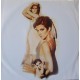 Celine Dion ‎- Falling Into You - Double LP Vinyl Album - French Pop Songs