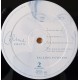 Celine Dion ‎- Falling Into You - Double LP Vinyl Album - French Pop Songs