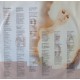 Celine Dion ‎- Falling Into You - Double LP Vinyl Album - French Pop Songs
