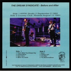 The Dream Syndicate ‎– Before And After - LP Vinyl Album - Limited Edition - Alternative Rock