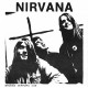 Nirvana ‎– Total Fucking Godhead - 7 inches 45RPM Vinyl - Grunge Rock