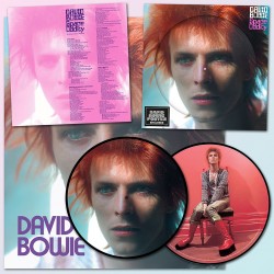 David Bowie - Space Oddity - Limited Edition - LP Vinyl Album - Picture Disc + Poster - Glam Rock