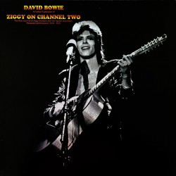 David Bowie ‎– Ziggy On Channel Two - LP Vinyl Album - Glam Rock