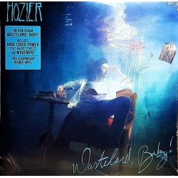 Hozier ‎- Wasteland, Baby! - Double LP Vinyl Album - Indie Pop Electro