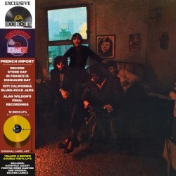 Canned Heat & John Lee Hooker ‎– Hooker ’N Heat - Double LP Vinyl Album - Coloured Records - RSD 2020 - Blues Rock