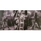 Stray Cats ‎– Rocked This Town: From LA To London - Double LP Vinyl Album - Coloured Blue - Rockabilly