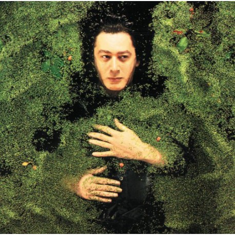 Alain Bashung ‎– Fantaisie Militaire - LP Vinyl Album - Coloured Green - Rock Français