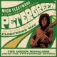 Mick Fleetwood & Friends - Fleetwood Mac - The Green Manalishi - Maxi Vinyl 12 inches Coloured - Black Friday - Pop Rock