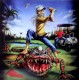 Iron Maiden ‎– The Evil In Florida - LP Vinyl Album Picture Disc - Heavy Metal