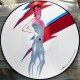 David Bowie ‎- Aladdin Sane - LP Vinyl Album - Picture Disc - Glam Rock