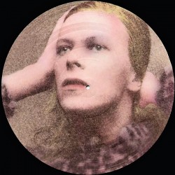 David Bowie ‎– Hunky Dory - Picture Disc - LP Vinyl Album - Glam Rock