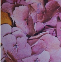 Still Life - Still Life - LP Vinyl Album Gatefold - Progressive Rock 