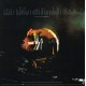 Van Halen ‎– 1st LP Van Halen - LP Vinyl Album - Hard Rock