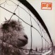 Pearl Jam ‎- Vs - LP V inyl Album Gatefold - Grunge Alternative