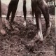 Pearl Jam ‎- Vs - LP V inyl Album Gatefold - Grunge Alternative