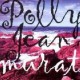 Jean-Louis Murat ‎– Polly Jean - CD Album