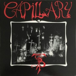 Capillary ‎– PTS - LP Vinyl Album - Alternative Rock