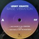 Lenny Kravitz ‎- Raise Vibration - Double LP Vinyl Album + CD Promo France - Rock Music