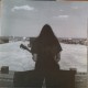 Endless Boogie ‎- Vibe Killer - LP Vinyl Album - Blues Rock