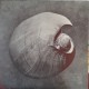Endless Boogie ‎- Vibe Killer - LP Vinyl Album - Blues Rock