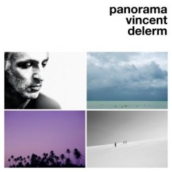 Vincent Delerm ‎– Panorama - LP Vinyl Album - Chanson Française