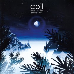 Coil ‎– Musick To Play In The Dark - Double LP Vinyl Album Etched - Experimental