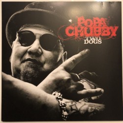 Popa Chubby ‎- Two Dogs - LP Vinyl Album - Blues Rock