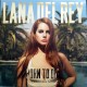 Lana Del Rey ‎- Born To Die - The Paradise Edition - Boxset Album Double LP - Pop Music
