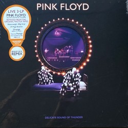 Pink Floyd ‎- Delicate Sound Of Thunder - Triple LP Vinyl + Booklet - Psychedelic Rock