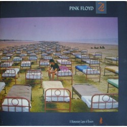 Pink Floyd ‎- A Momentary Lapse Of Reason Lapse Of Reason - LP Vinyl Abum Gatefold - Psychedelic Rock