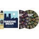 Tangerine Dream - Live At The Reims Cathedral  - RSD 2021 - Double LP Vinyl Album - Ambient Electronic - Disquaire Day