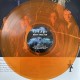 Iceage ‎- Seek Shelter - LP Vinyl Album - Coloured Orange - Post Punk Garage