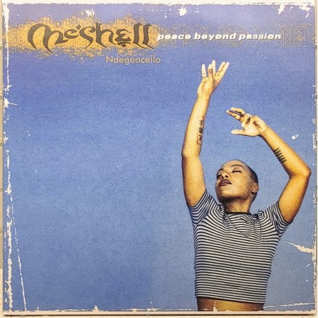 Me'Shell NdegéOcello ‎- Peace Beyond Passion - Double LP Vinyl Album - Funk Soul - Record Store Day