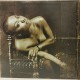 Me'Shell NdegéOcello ‎- Peace Beyond Passion - Double LP Vinyl Album - Funk Soul - Record Store Day