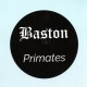 Baston ‎- Primates - LP Vinyl Album - Krautrock Coldwave